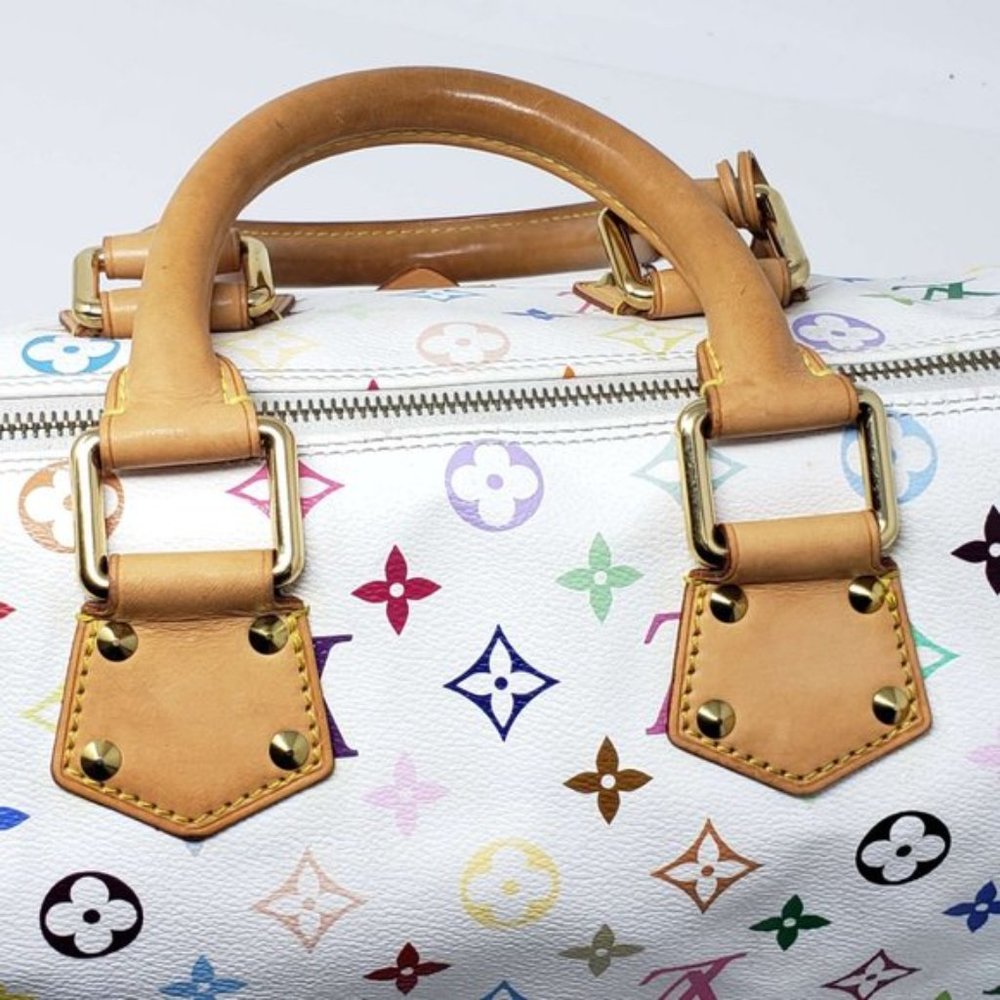Louis Vuitton Speedy 30 Multicolor Limited Edition - Picture 7 of 15